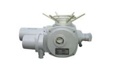 核級閥門電動裝置的產(chǎn)品分類,核級閥門電動裝置的產(chǎn)品分類生產(chǎn)廠家,核級閥門電動裝置的產(chǎn)品分類價(jià)格